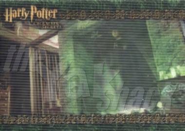 Lenticular Ron & Floo Powder Case Topper Card - front